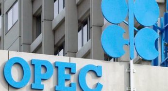 OPEP forçada a considerar cortes de produção devido à pressão de baixa