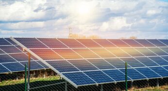 Energia solar já é considerada a mais barata da história, de acordo com a AIE