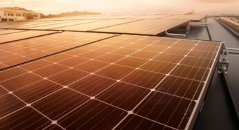 Empresa cria sistema que dispensa conexão com rede elétrica para armazenar energia solar
