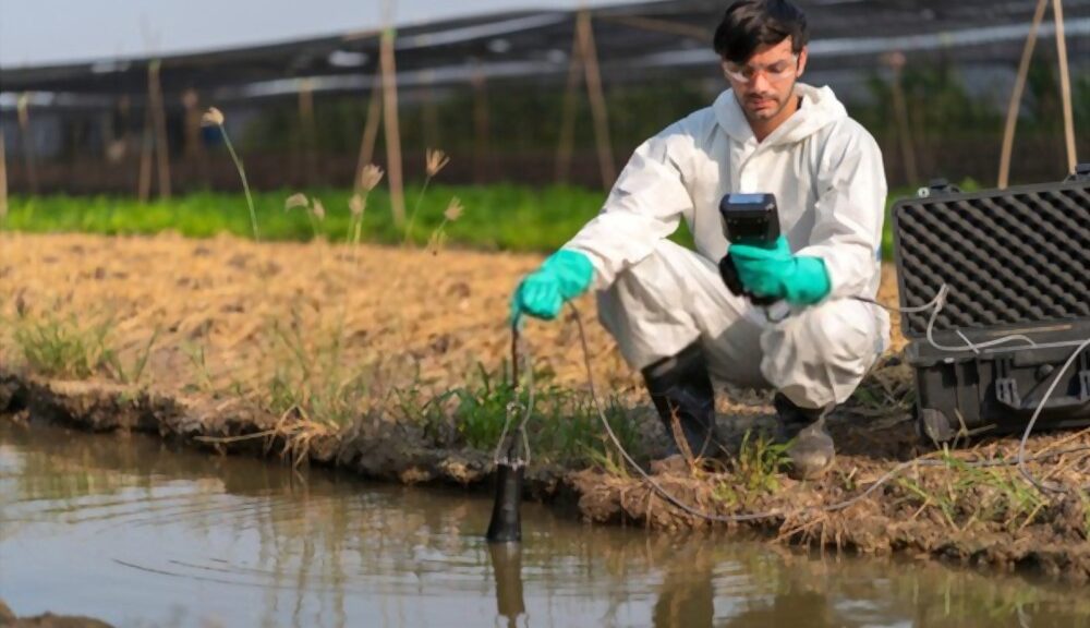 Grupo Trigo criou uma oportunidade de Supervisor de Meio Ambiente