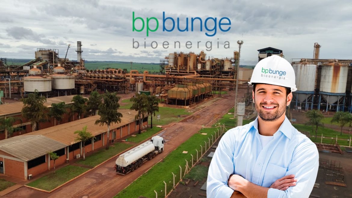 A BP Bunge Bioenergia está com vagas de emprego abertas para os profissionais que atuam no setor, não espere mais, faça logo a sua inscrição!