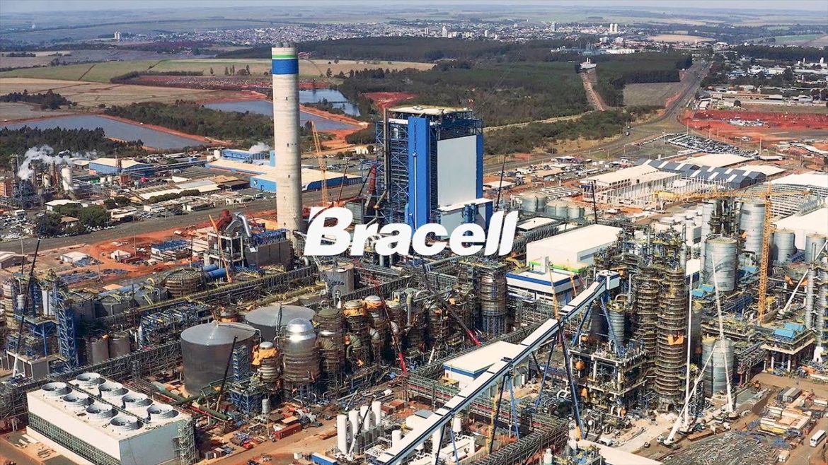 Bracell, líder na produção de celulose solúvel, abre vagas de emprego para início imediato na Bahia