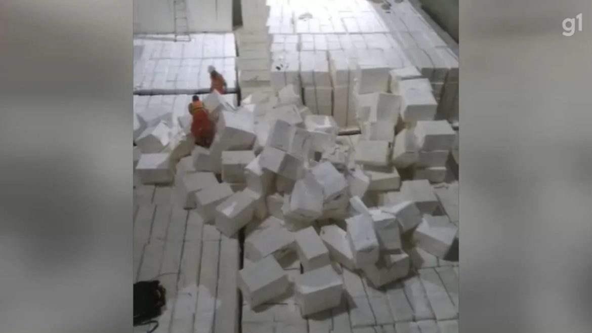 Carga de 40 toneladas de celulose do navio de bandeira chinesa COSCO S ZHUO, despenca em embarcação no Porto de Santos