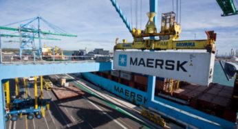 Multinacional Maersk abre 68 novas vagas de emprego para candidatos com e sem experiência ao redor de todo o Brasil