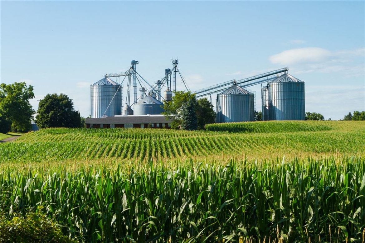 Agroindústria internacional empresas brasileiras estimam US$155 mil como resultado da Expo Prado 2022