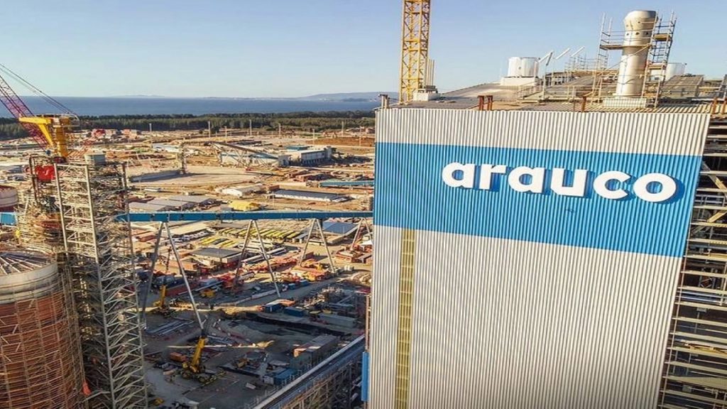 Arauco planeja construir fábrica de celulose em município do MS com previsão de gerar 12 MIL vagas de emprego
