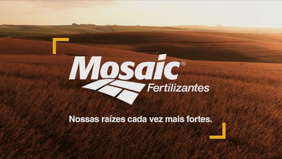 As vagas de emprego ofertadas pela Mosaic Fertilizantes são para todo o Brasil, para profissionais com experiência no setor do agronegócio.