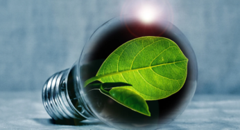 Energia verde: a economia e a necessidade de uma nova matriz energética global