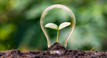 O potencial do Brasil para a geração de energia renovável
