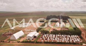 Amaggi está contratando profissionais para preencher 60 vagas de emprego; confira os cargos e salários