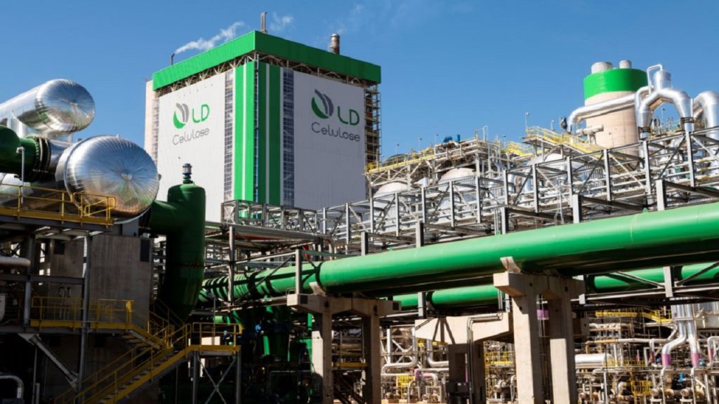 Fábrica de celulose em Minas Gerais gerou mais de 10 mil empregos e afirma que planeja duplicar este número