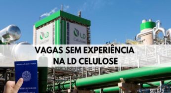 LD Celulose divulga mais de 40 vagas sem experiência em seu programa para Jovem Aprendiz