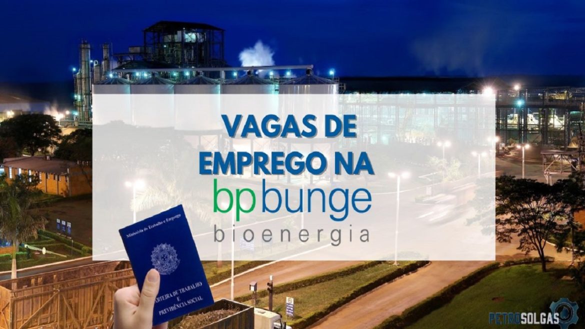 Participe do processo seletivo da BP Bunge Bioenergia mais de 70 vagas de emprego estão abertas