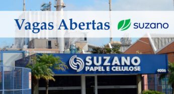 Maior produtora de celulose do mundo, a Suzano está com diversas vagas de emprego abertas em todo o Brasil