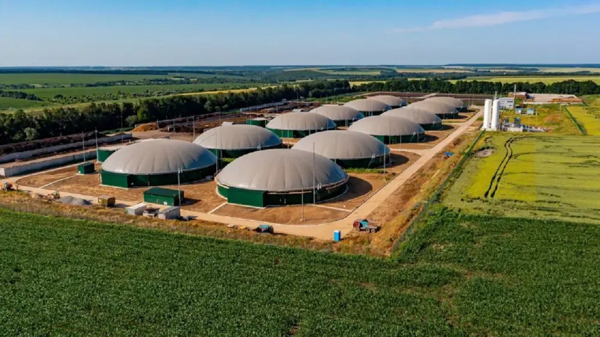 Energia limpa e lucrativa Bioo, a nova empresa de R$ 600 milhões, visa impulsionar o biogás a partir de resíduos industriais