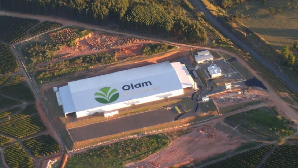 Geração de empregos Multinacional aposta em Linhares com investimento de R$ 1 bilhão para nova fábrica