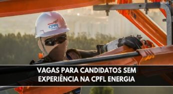 CPFL Energia anuncia abertura de 100 vagas de emprego sem experiência para candidatos de ensino técnico e superior