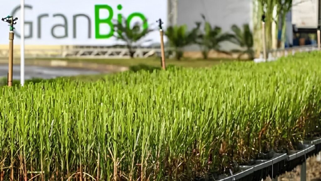 GranBio pioneira produção de combustível para aviação sustentável recebe impulso
