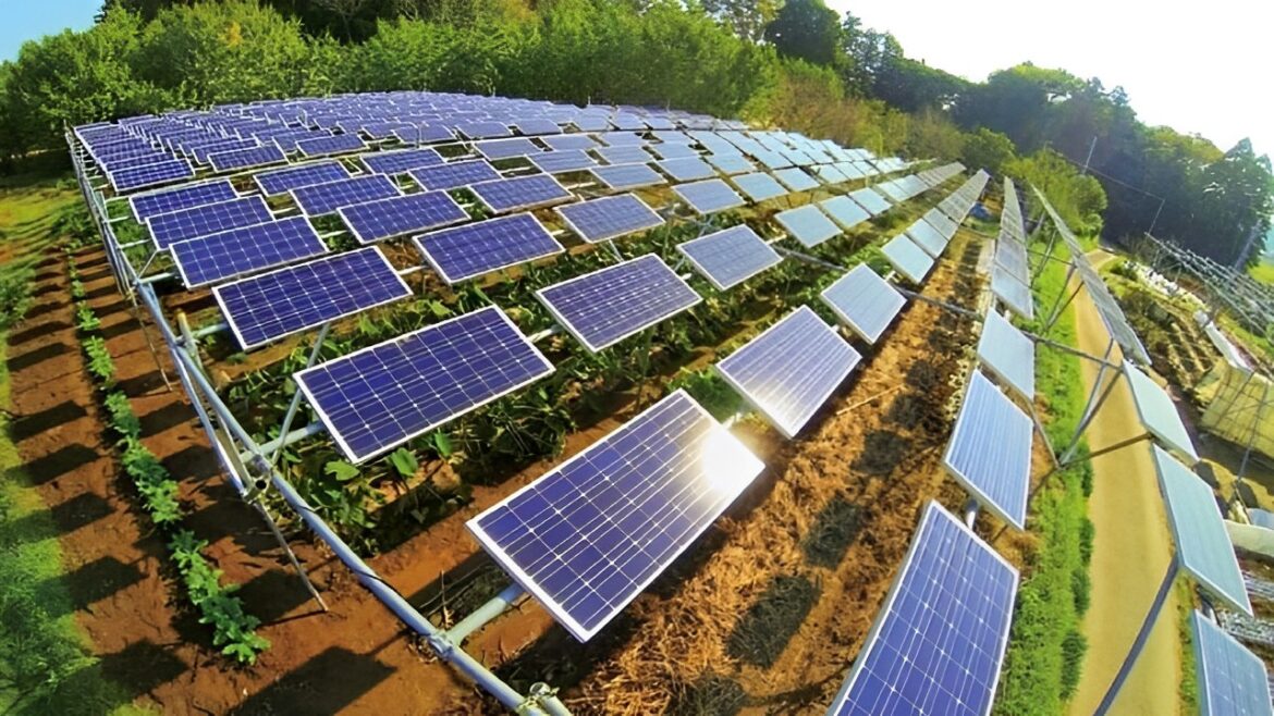Minas Gerais está prestes a ser o primeiro estado a integrar agricultura e energia solar