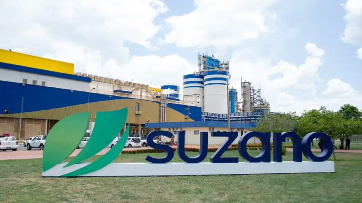 Suzano mantém sua posição como a empresa mais inovadora do setor de papel e celulose