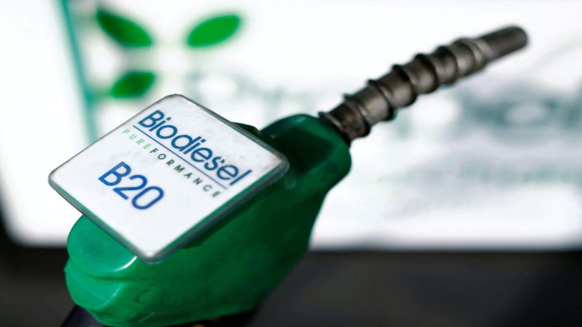 Alckmin ressaltou a importância dos estudos para aumentar a mistura obrigatória de biodiesel, apontando a meta de B13 para 2024.