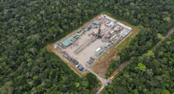 Equador pode enfrentar desafios na suspensão do bloco 43 de petróleo na região de Yasuní, na Amazônia
