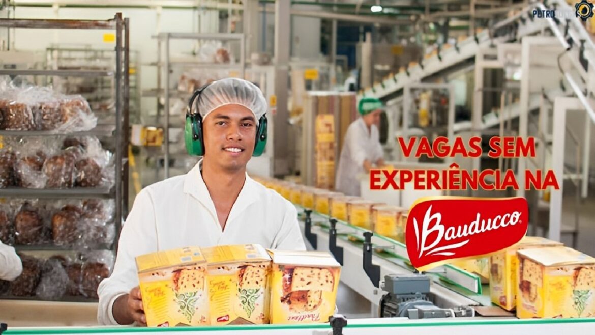 Bauducco abre processo seletivo com vagas sem experiência para todas as idades para atuação presencial e home office