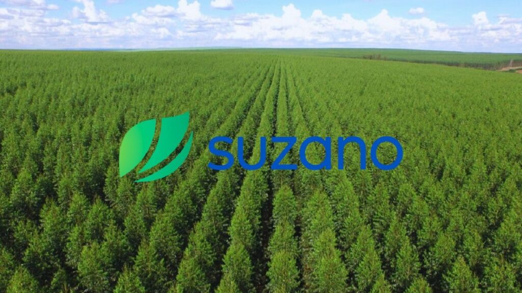 Suzano fortalece o setor de celulose com aumento de até US$ 50 previsto