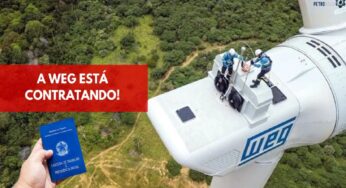 Multinacional WEG está com mais de 70 vagas de emprego para candidatos de ensino fundamental, médio e técnico