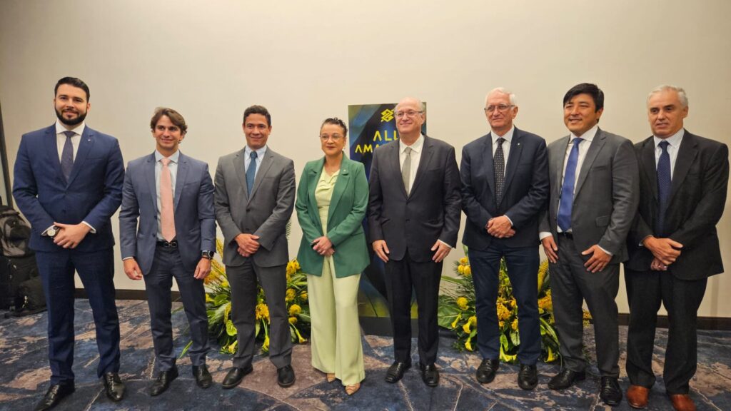 Esse projeto está perfeitamente alinhado com o programa "Amazônia Sempre" do BID, que visa promover o desenvolvimento sustentável na região.