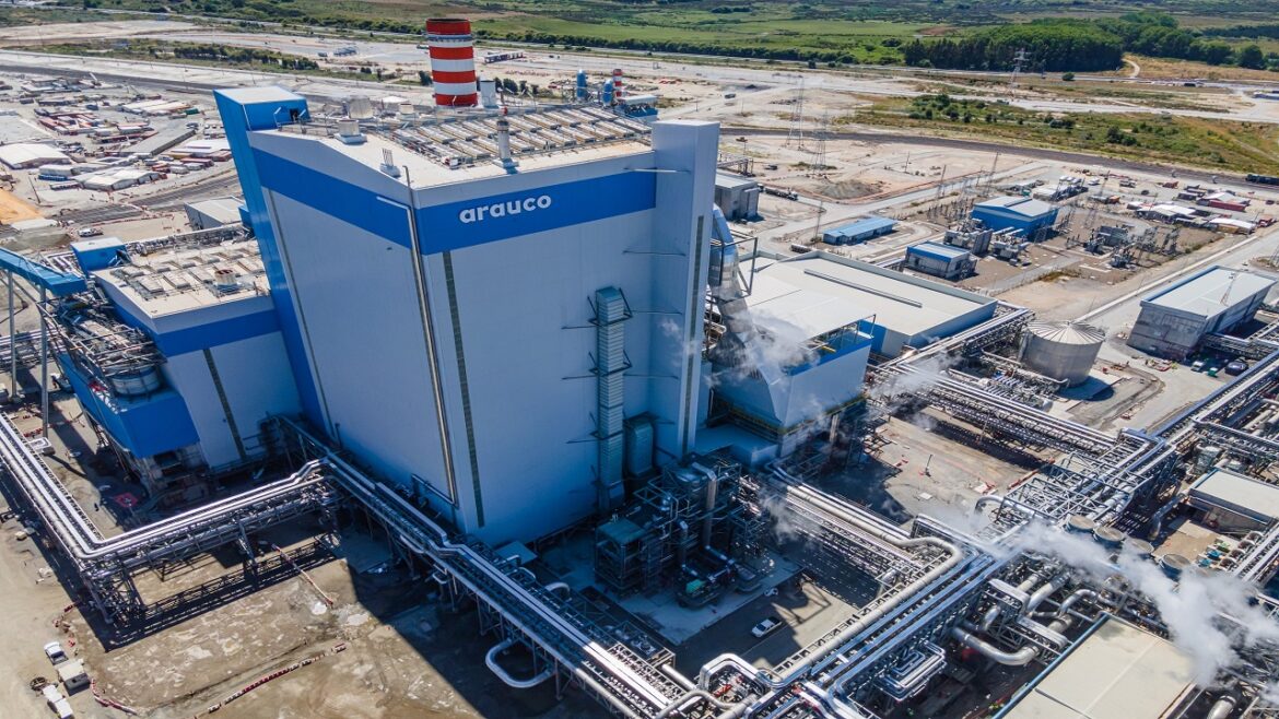 Nova fábrica de celulose da Arauco promete iniciar suas obras em meados de 2025