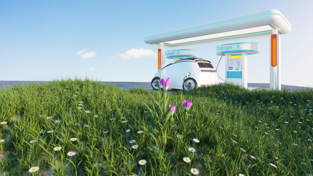 Grupo alemão Solar Outdoor Media anuncia instalação de projeto para produzir amônia e hidrogênio verde no Piauí