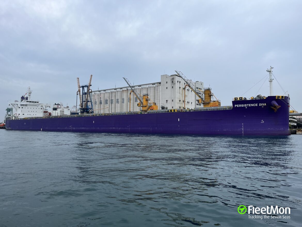 A chegada do Persistence Diva ao porto paranaense reforça as projeções da companhia. Isso, pois, a embarcação não é apenas um navio comum.