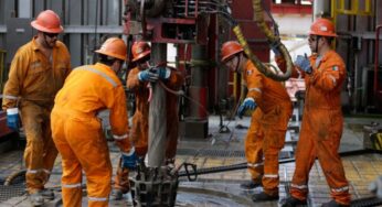 Vagas On e Offshore na Perbras: Companhia está com 55 vagas abertas para profissionais de nível fundamental, médio, técnico e superior, com e SEM EXPERIÊNCIA
