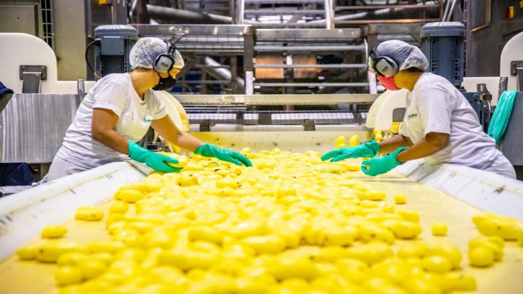 Bem Brasil marca presença no Nordeste e anuncia construção de nova fábrica fora de MG até 2027