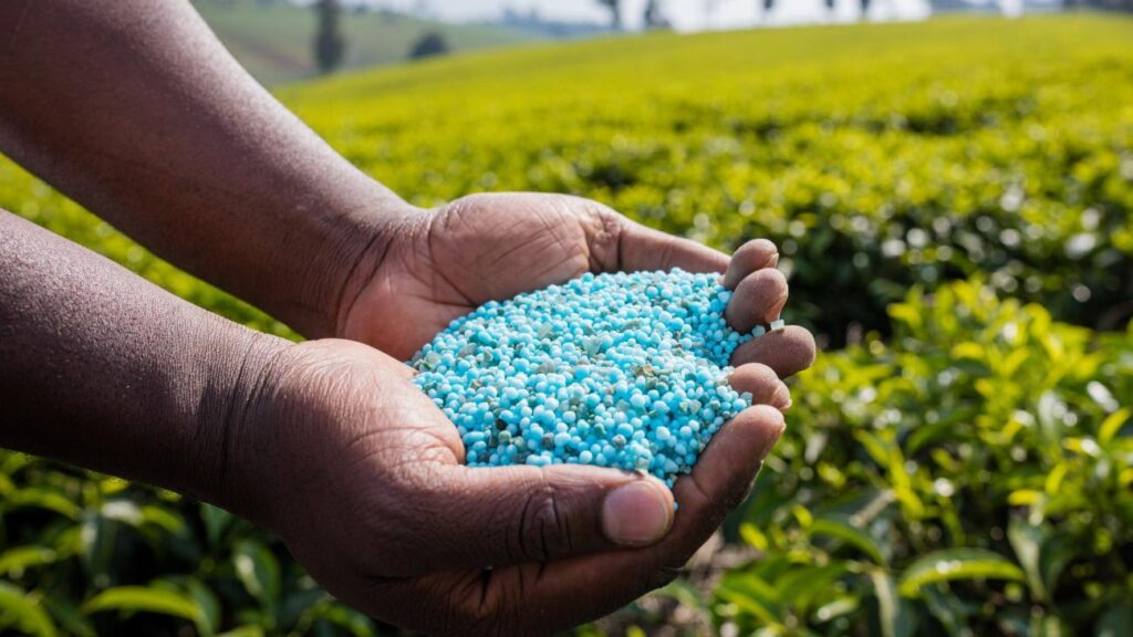 Com o investimento de R$ 80 milhões, a GeN Fertilizantes não apenas contribui para o fortalecimento do setor agrícola, mas para a geração de empregos na região.