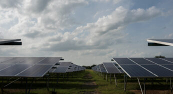 Usina Solar off-grid revoluciona fornecimento de energia para irrigação em fazenda