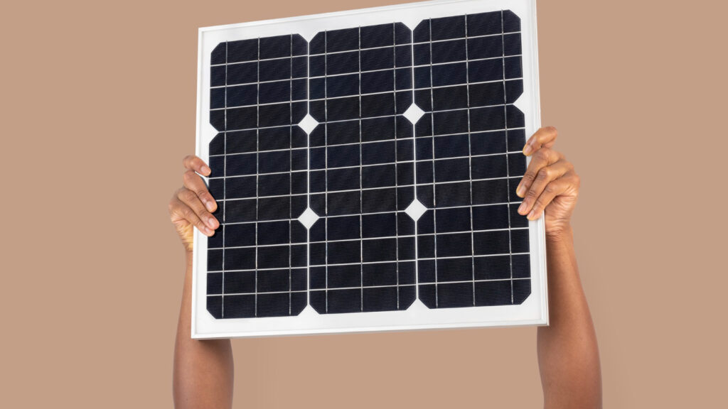 A expectativa é que a ‘placa solar de castanha de caju’ possa ser uma alternativa viável para impulsionar a adoção da energia solar em larga escala.