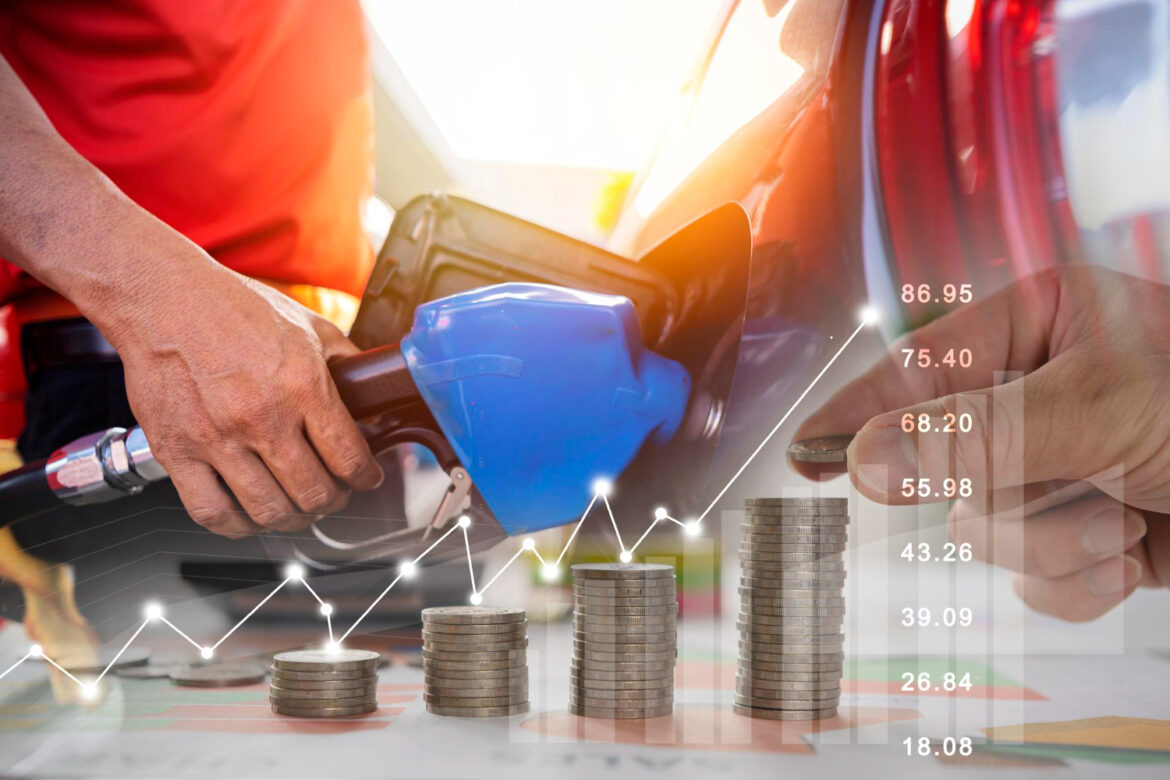 O Ineep avalia a composição dos preços dos combustíveis ao consumidor final, considerando os custos do produtor, do etanol anidro adicionado à gasolina, dos impostos e das margens de distribuição e revenda.