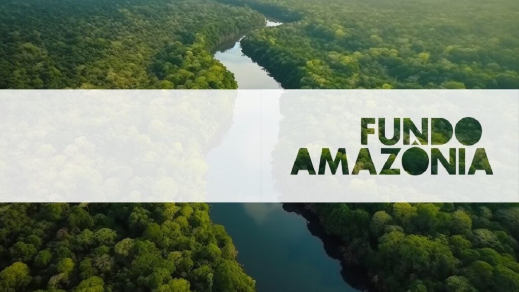 Com R$ 1,3 bilhão aprovado para projetos e chamadas públicas, Fundo Amazônia tem recorde histórico em 2023