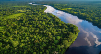 Projeto “Amazônia Viva” impulsiona bioeconomia com aporte de R$ 12 milhões
