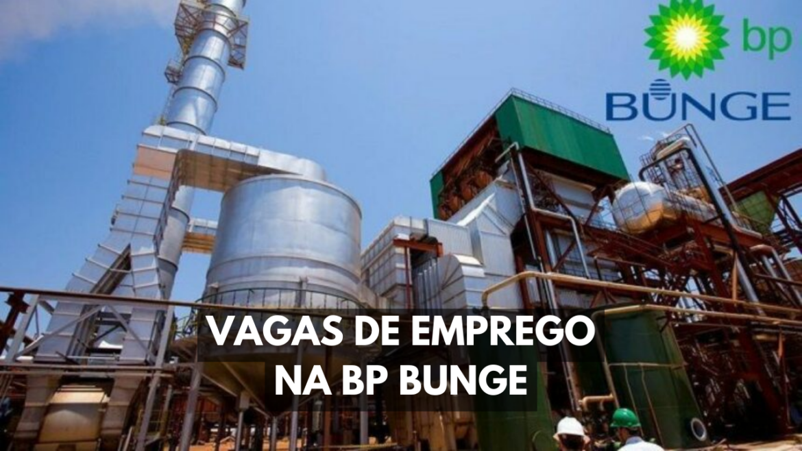 As vagas de emprego disponíveis na BP Bunge são voltadas para profissionais experientes no mercado de bioenergia.