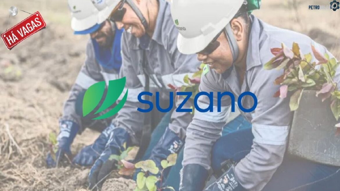 Suzano Celulose abre novo processo seletivo com vagas de emprego em diversos estados brasileiros
