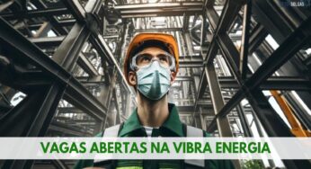Vibra Energia está recrutando 62 novos profissionais para ocupar vagas de emprego no Rio de Janeiro e outros estados