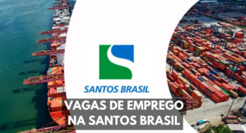 Oportunidades para profissionais de Santa Catarina e São Paulo: Santos Brasil abre inscrições para novas vagas de emprego