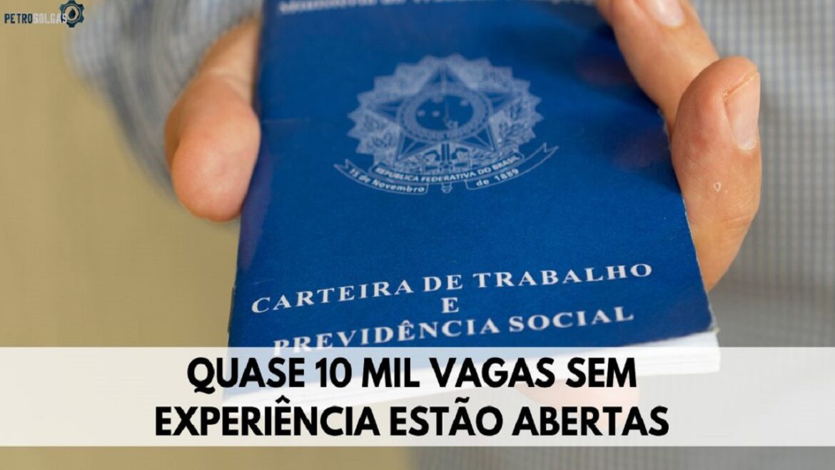 Núcleo Brasileiro de Estágios (Nube) divulga abertura de quase 10 mil vagas de emprego sem experiência para candidatos de nível médio, técnico e superior