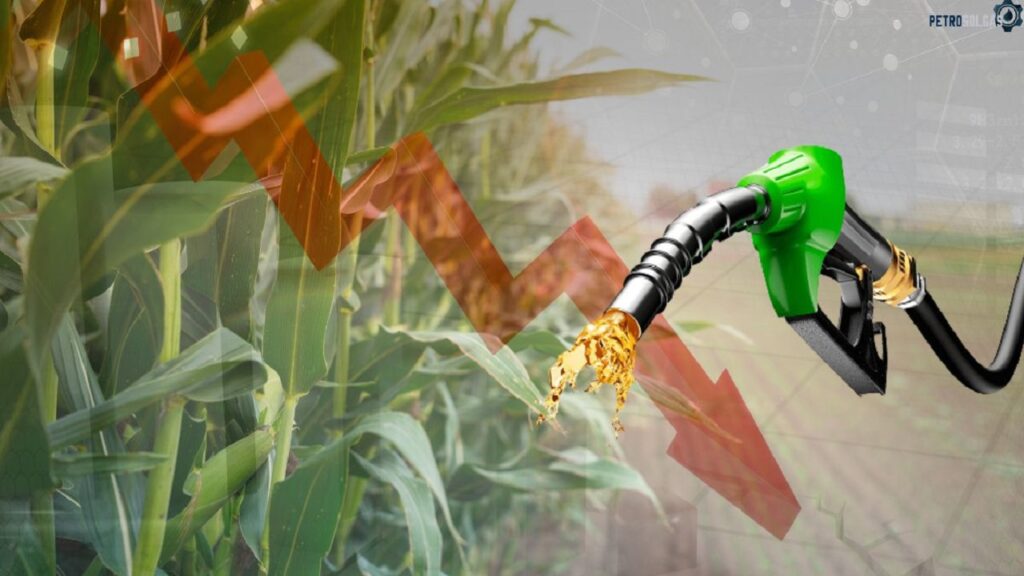 Política de preços da Petrobras projeta redução superior a R$ 10 bilhões na receita dos produtores de etanol