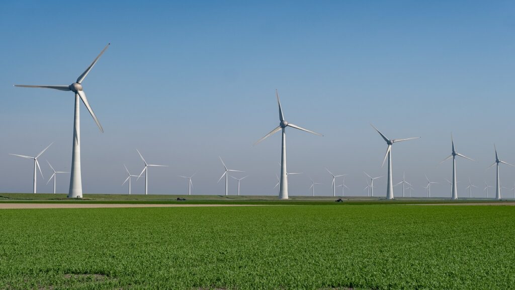WEG anuncia entrada no mercado de energia eólica para acelerar transição energética