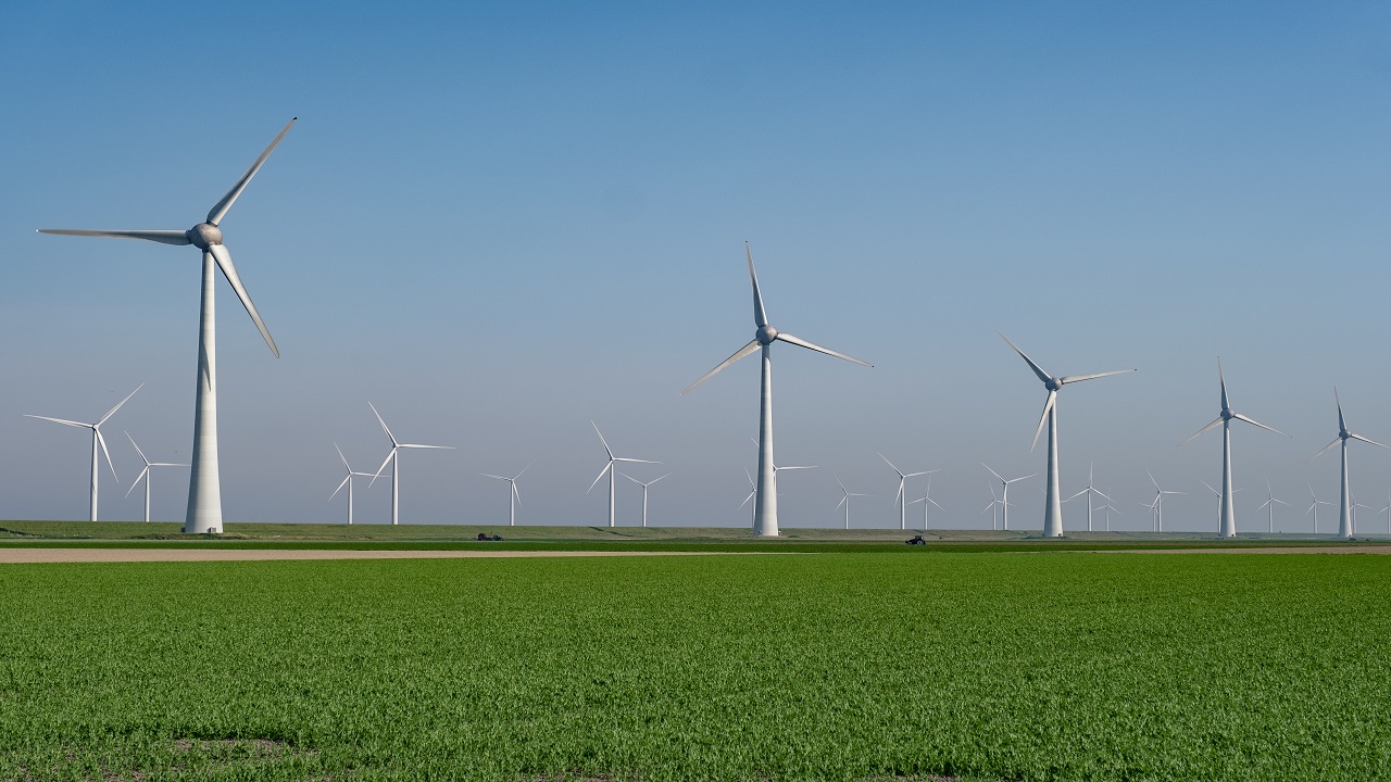 WEG anuncia entrada no mercado de energia eólica para acelerar transição energética