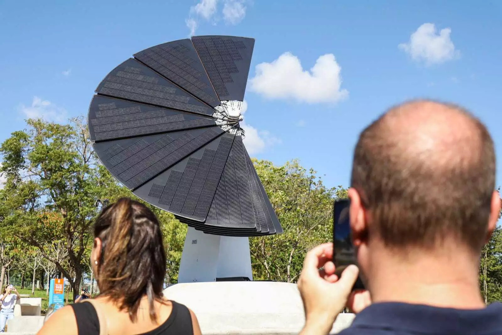 flor solar em Mato Grosso do Sul